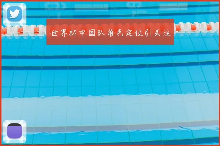 世界杯中国队角色定位引关注